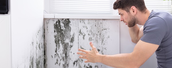 mold on interior wall