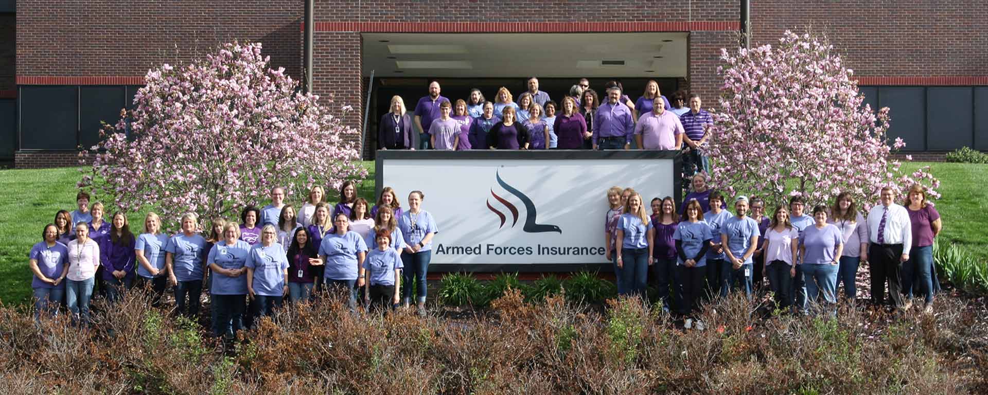 Careers Armed Forces Insurance